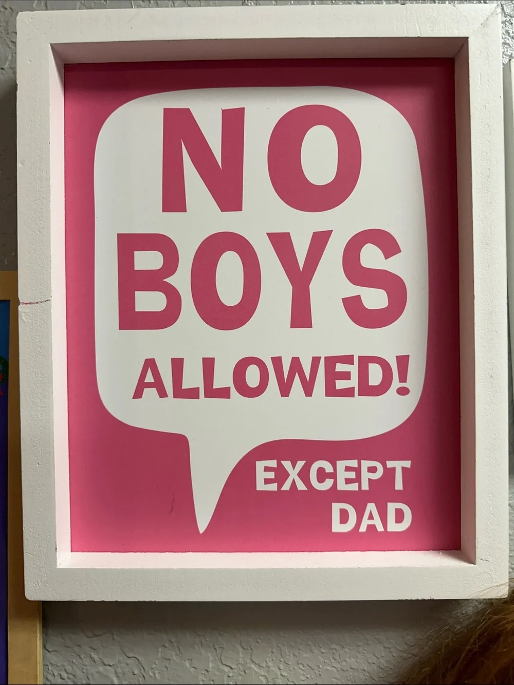 No Boys Allowed Wall Art - Pink